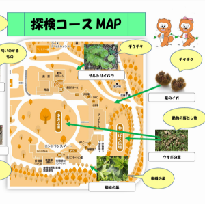とくぢのもりたいけん