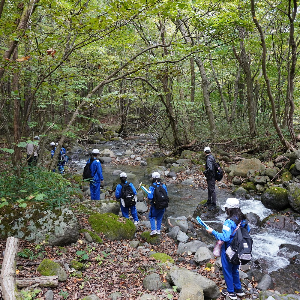 なすかしの森トレッキング