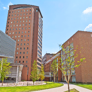 和洋女子大学の授業体験