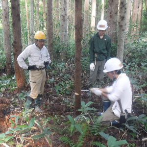 トキの島　森林の楽校２０２５秋