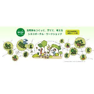 ソニーの環境教育プログラム『シネコポータル・ワークショップ』