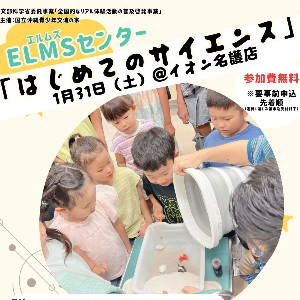 「こども体験遊び場 in やんばる」