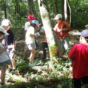 森であそぼう～あつまれ！もじもじの森～