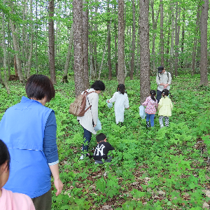 森であそぼう～春の森deぴくにっく～