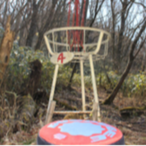 ディスクゴルフ