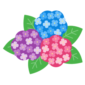 さくサク？！アジサイを咲かせよう