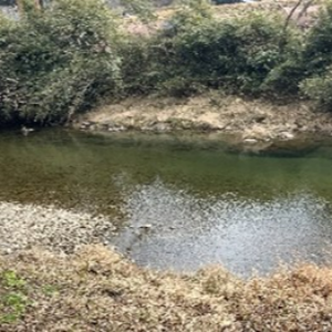 川遊び