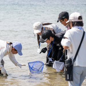 せとうちブループロジェクト～「ザリガニ島」で海のひみつを探そう～