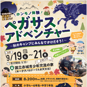 ペガサスアドベンチャー～秋のキャンプにみんなでかけだそう～
