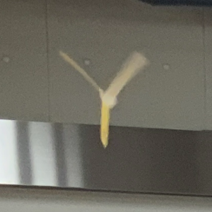 くるくるタネコプター