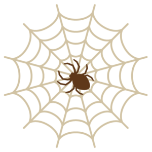 クモの巣🕷ファクトリー